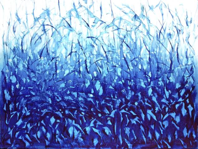 Gästeseite 48 090426